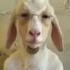 B - @brennan.mcdaniel07 - TikTok