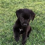 Brenna Willis - @elephants205 - Instagram