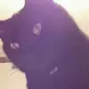 brennanautry - @brennanautry - TikTok