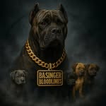 Brennan - @basingerbloodlines - Instagram