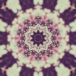 brennan bennett - @bren.1045 - Instagram