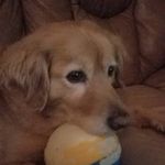 brennan seifert - @brennan_best - Instagram