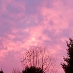 Brennan brown - @brenbrown33 - Instagram