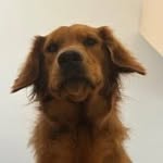 Brennan Cavanaugh - @brennan.53 - Instagram