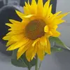 Brennan Clegg769 - @xxx.layla.xxx2 - TikTok