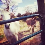 Brennan Collins - @bpc06 - Instagram