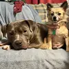 Brennan Cox - @brennan.cox8 - TikTok