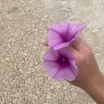 Brennan daugherty - @brennan_daugherty - Instagram