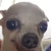 Brennan Doyle - @b.doyleb6 - TikTok