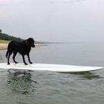 Susie Brennan Floyd - @susie.brennan - Instagram