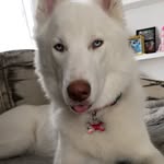 Brennan - @brennan.frank2 - Instagram