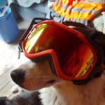 brennan jackson - @brennanjackson287 - Instagram