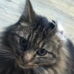 Brennan Jackson - @_noskcaj_nannerb_ - Instagram