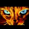 Brennan Jackson  - @brennan.jackson1 - TikTok