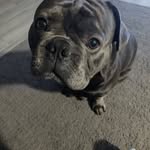 Brennan Lynch - @brennan.lynch.9 - Instagram