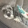 ✝️ - @brennan.murphy50 - TikTok