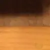 Brennan Murphy  - @brennan.murphy - TikTok