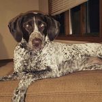 Brennen Johnson - @brennen_johnson9980 - Instagram