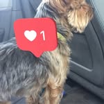 Brennen Johnson - @triggentrash - Instagram