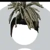 Brennen Johnson - @brennen.johnson8 - TikTok