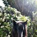 Brent Ballard - Facebook