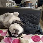 Brent Ballard - @brent.ballard.568 - Instagram