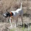 Brent Bashaw - @brent.bashaw - TikTok