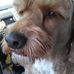 Brett Beardall - Facebook