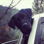 Brent Beers - @raidirz - Instagram