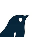 Brent Bird - @wb_bird - Instagram