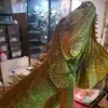 Brent Blevins - @brent.blevins25 - TikTok