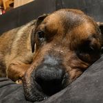 Brent - @brent.brewer216 - Instagram