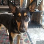 Brent Brewer - Facebook
