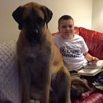 Brent Browning - @brent.browning - Instagram