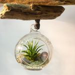 Brent Cameron - @driftwoodofca - Instagram