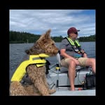 Brent Cameron - @brentcameron2 - Instagram