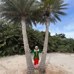 Brent Carlson - @caddiemanbc - Instagram
