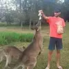 brent._carlson - @brent._carlson - TikTok