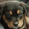 brentcochran89 - @brentcochran89 - TikTok