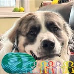 Brent Conner - @muddcrazy40 - Instagram