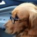 Brent Danielson - Facebook