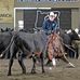 Brent Erickson Cutting Horses - Facebook