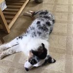 Brent Fields - @brentrfields - Instagram