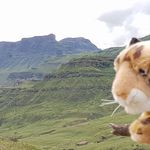 Brent Fleming - @skippingthelightfandango - Instagram