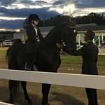 Brent Grider - @harpergrider - Instagram