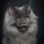 Brent Hammer - @brent.hammer.9022 - Instagram