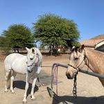 Brent Harper - @brentharper761 - Instagram
