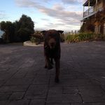@brent_harper - Instagram