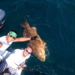 Brent Harper - @brentharper1 - Instagram