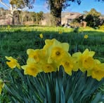 Brent Heath - Facebook